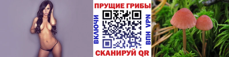 Псилоцибиновые грибы мицелий  Купить где  Глазов 